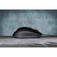 Corsair Harpoon Pro Lightweight RGB  Optical Gaming Mouse  12000 DPI and 6 Programmable Buttons - Tech Syndicate 